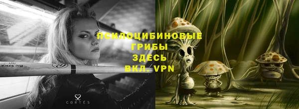 а пвп мука Богородск