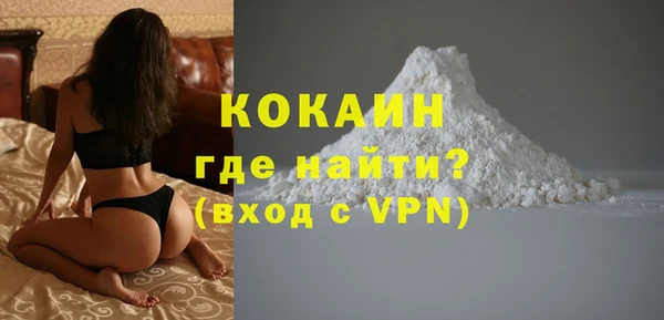прущие грибы Богородицк