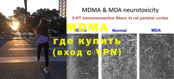 прущие грибы Богородицк
