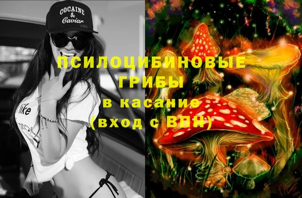 а пвп мука Богородск