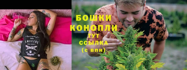 прущие грибы Богородицк