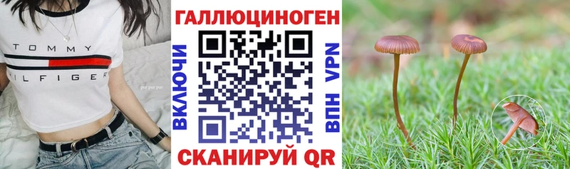 Псилоцибиновые грибы Psilocybine cubensis  OMG сайт  Игра 